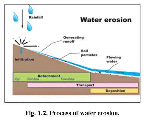 Soil & Water Conservation Structures: Lesson 1. Soil Erosion